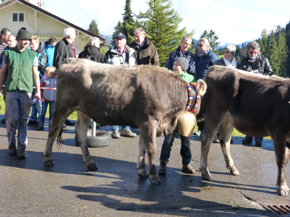 finn mit Radi