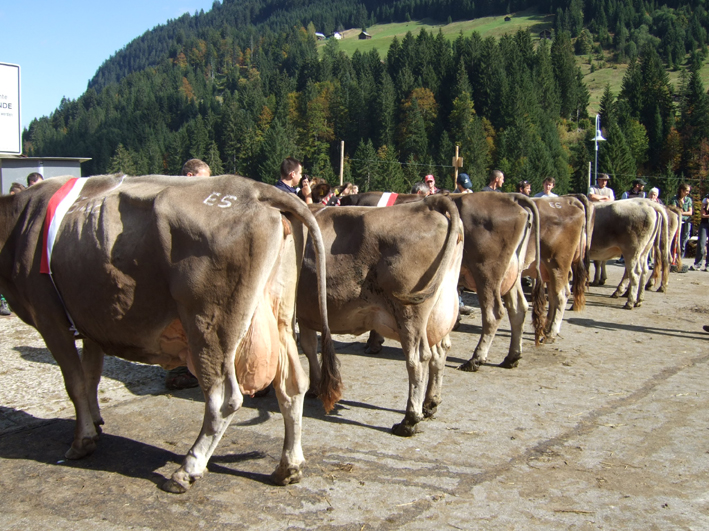 hp_Gruppensiegerinnen02