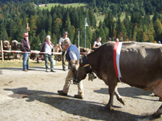 hp_Zwei Erschpfte