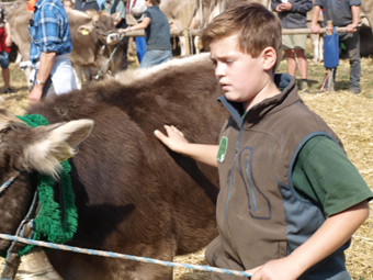 kalb m  simon vorf sieger964