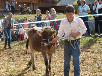 kalb vorf sieger josef983